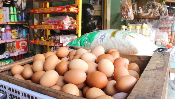 Update Harga Pangan Beras Stabil Telur Ayam Naik 20 Januari 2026