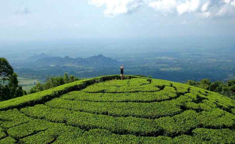 Menjelajah Ngawi Lewat Wisata Alam dan Sejarah