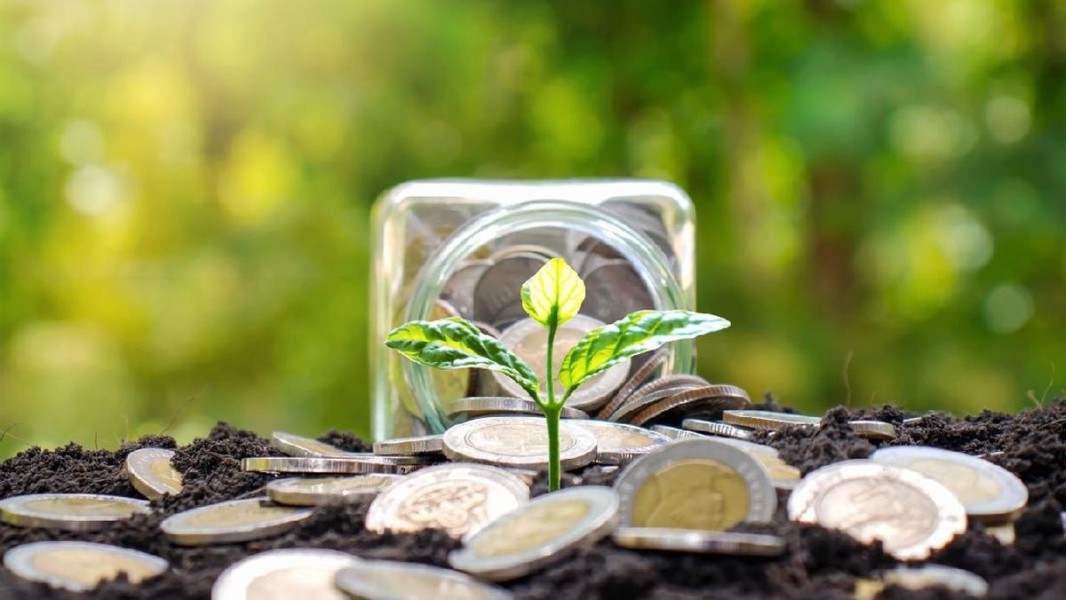 Perbandingan Emas dan Deposito: Pilihan Aman untuk Investasi Pemula 2026