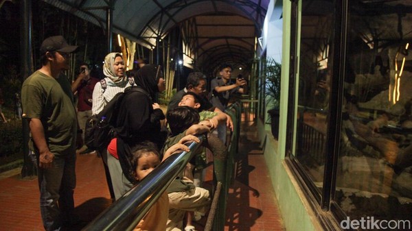 Wisata Malam Ragunan Diuji Coba, Pemprov DKI Janjikan Evaluasi Layanan Pengunjung