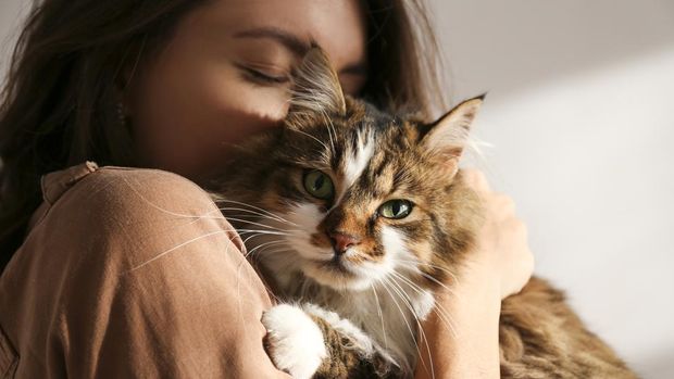 Fungsi Animal Communicator dalam Mempererat Hubungan Manusia-Hewan