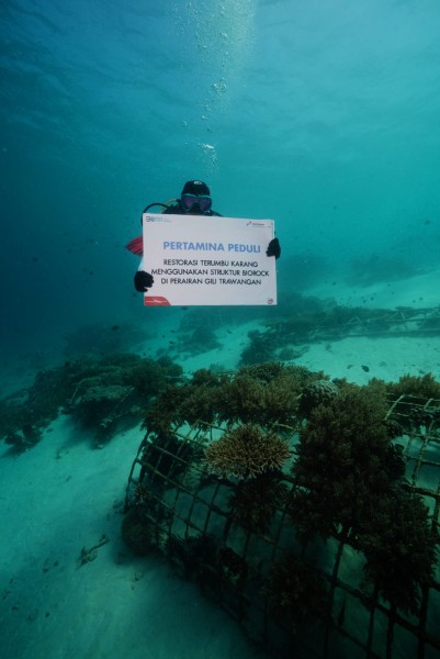Dalam HUT ke-79 RI, Pertamina Merayakan dengan Pengibaran Bendera Laut dan Penyerahan Beasiswa