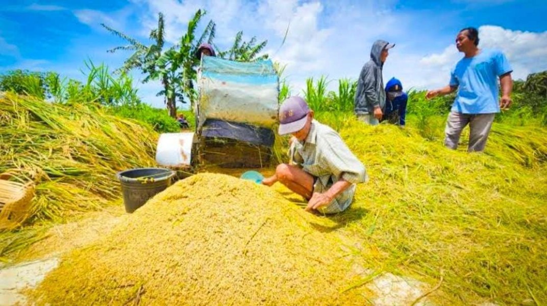 Dukungan Pemerintah untuk Petani