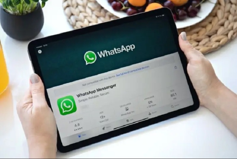 Setelah 15 Tahun, WhatsApp Resmi Rilis Aplikasi Khusus untuk iPad, Ini Fitur Unggulannya