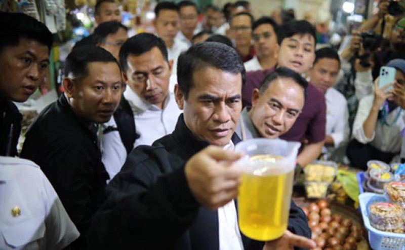 Kemitraan Inti-Plasma: Kunci Keberhasilan Petani Sawit, Menurut Dwi Sutoro