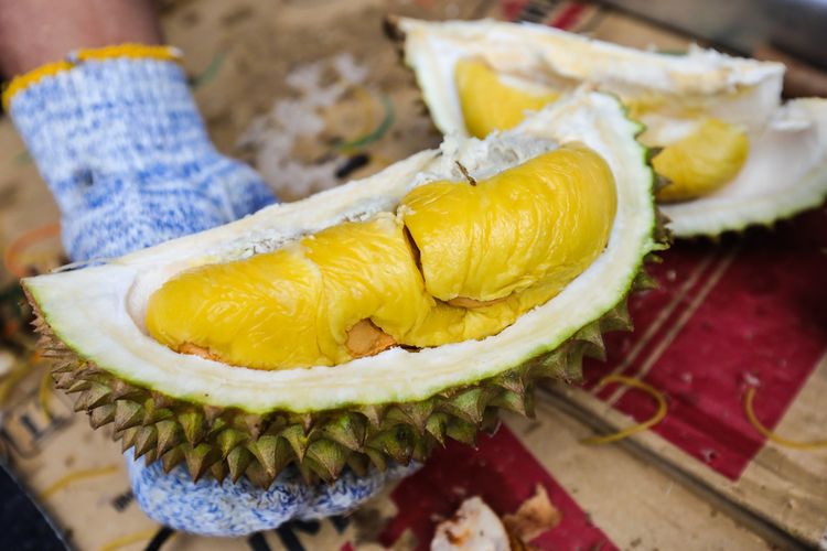 Menko Zulhas Dorong Durian Nusantara Jadi Simbol Buah Nasional