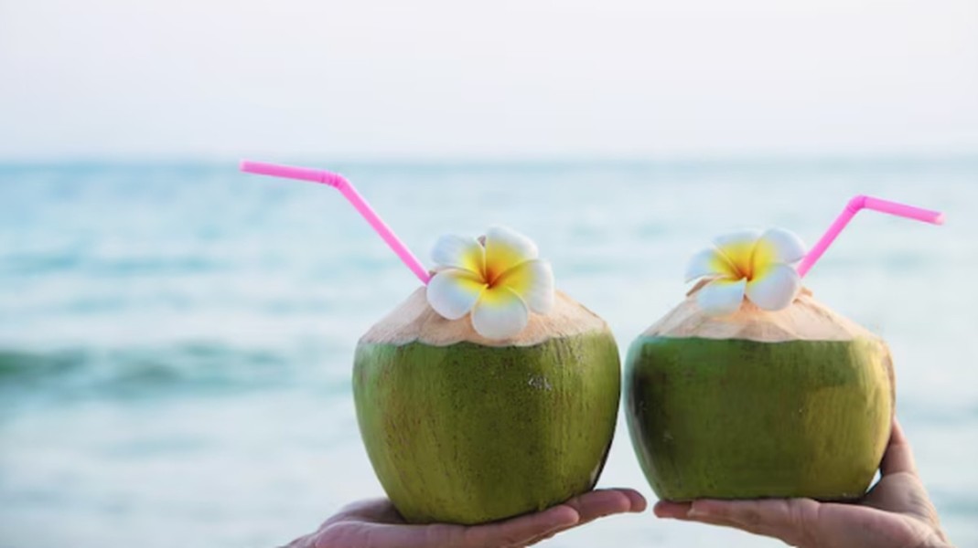 Bolehkah Minum Air Kelapa Setiap Hari Ini Waktu Terbaik Konsumsinya