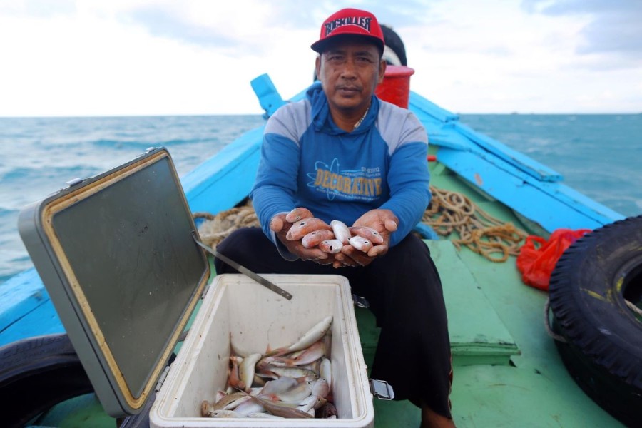 MIND ID: Mendorong Pemberdayaan Ekonomi Melalui Budidaya Ikan