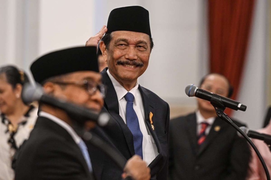 Luhut Binsar Pandjaitan, Ketua Dewan Ekonomi Nasional (DEN)