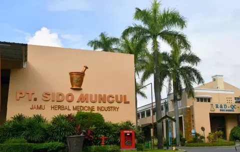 Sido Muncul Buka Lowongan Senior Web Programmer: Cek Syarat dan Cara Daftar 2025