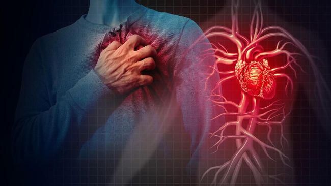 5 Kebiasaan Sehari-hari yang Diam-diam Merusak Jantung dan Kesehatan Tubuh