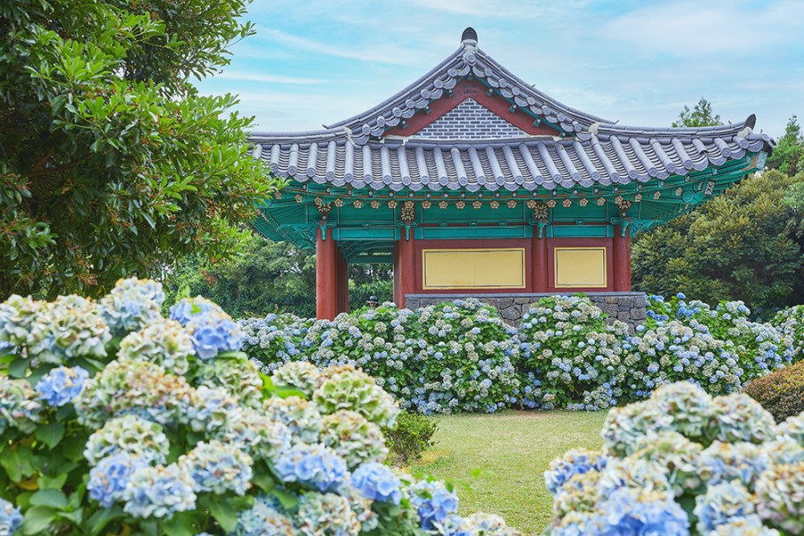 Wisata Alam Instagramable di Pulau Jeju