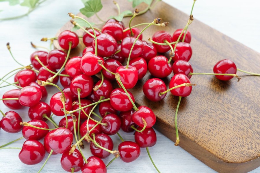 Ceri Jepang Termahal Awal 2026 Cetak Rekor Fantastis Dunia