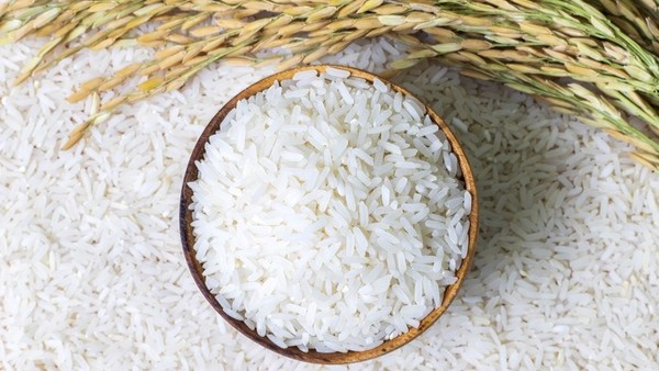 Klaim Swasembada Beras Prabowo Lengkapi Sejarah Ketahanan Pangan