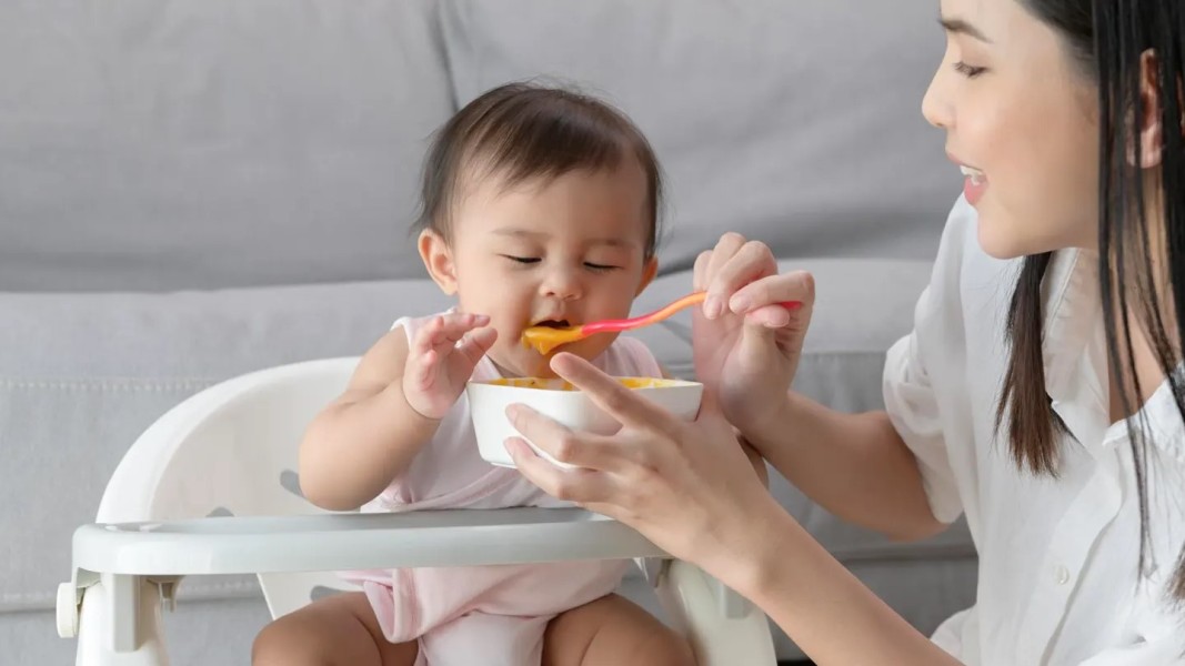 Panduan Lengkap Resep MPASI Bayi Usia 8 Bulan Agar Nutrisi Tercukupi
