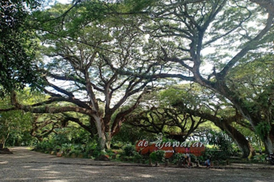 15 Wisata di Banyuwangi yang Lagi Hits 2026, Keren Abis!