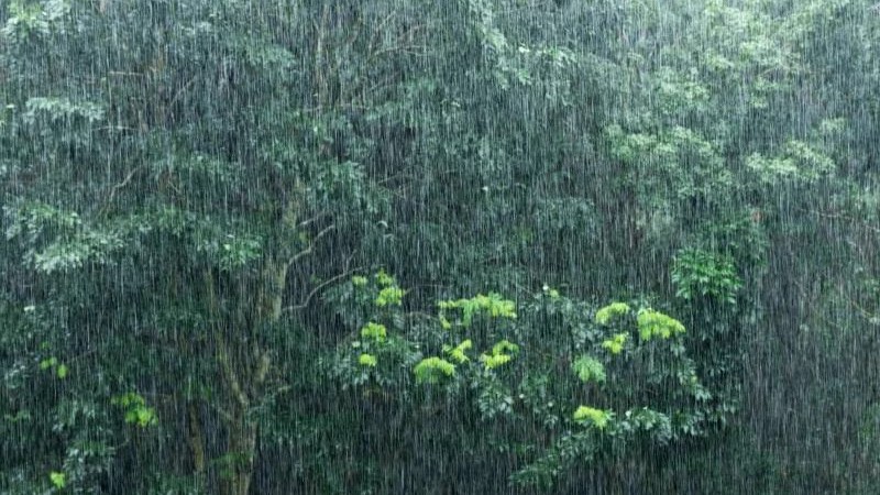 BMKG Prediksi Hujan Deras 28 Januari 2026, Warga Harus Siap