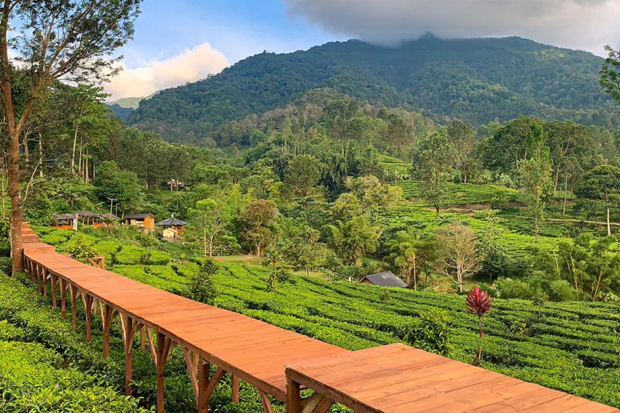 Rekomendasi 5 Tempat Wisata Alam Sejuk di Bogor