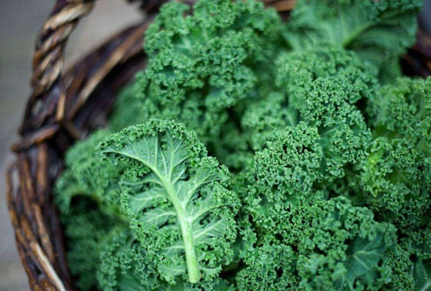 7 Rekomendasi Makanan Tinggi Serat untuk Mencegah Sembelit dan Melancarkan Pencernaan