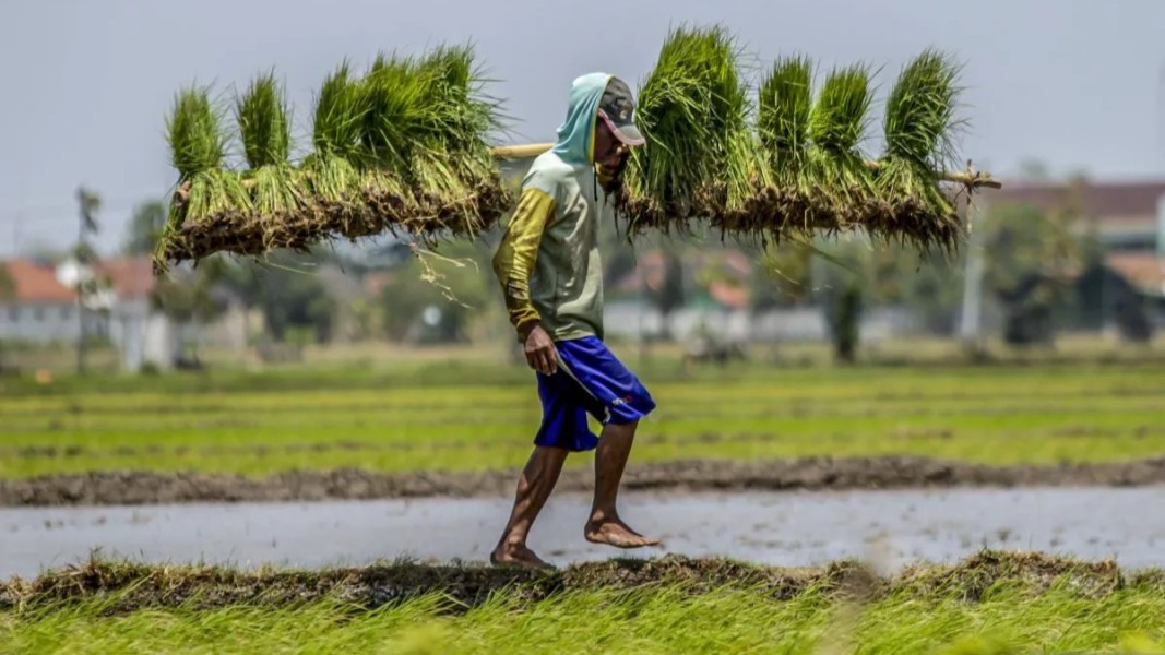 DPR Apresiasi Peningkatan Produktivitas Petani Menuju Ketahanan Pangan