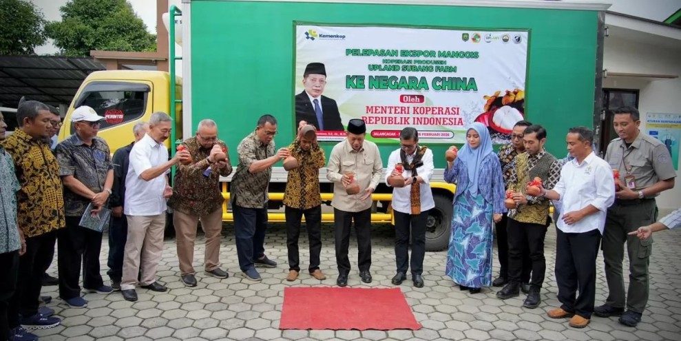 Koperasi Upland Subang Farm Ekspor Manggis ke China, Sukses