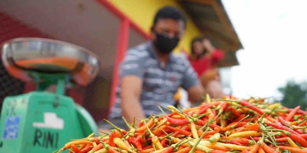 Harga Cabai Rawit Bergerak Dinamis, Warnai Perdagangan Awal Februari