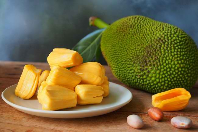 Perhatikan Batas Konsumsi Buah Nangka agar Kesehatan Tetap Terjaga Optimal