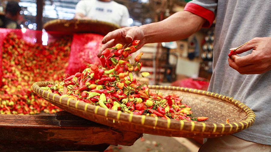 Cek Harga Pangan Banggai Laut Cabai Rawit Tembus Rp50 Ribu Per Kilogram