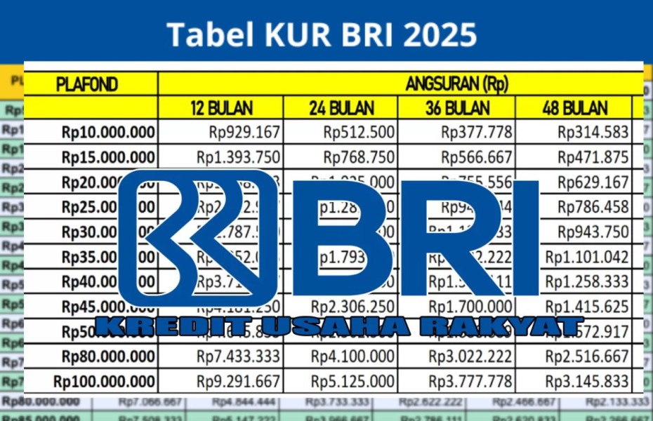 Pemerintah dan BRI Percepat Penyaluran KUR 2025, Target Rp 300 Triliun