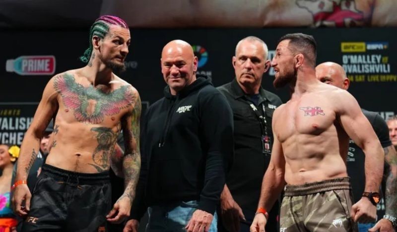 UFC 316: Duel Sengit Perebutan Gelar Kelas Bantam, Petarung Top Siap Tampil Maksimal