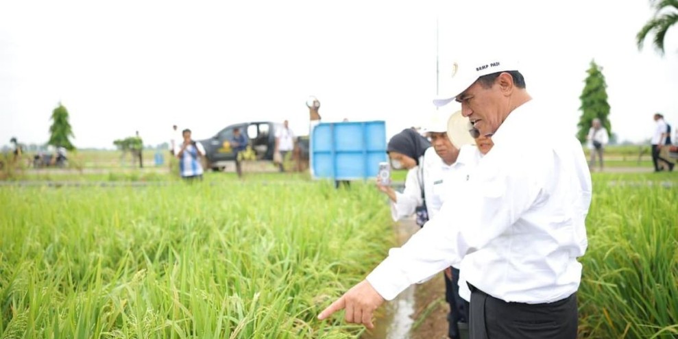 Mentan Amran Dorong Peningkatan Produktivitas Pertanian di Berbagai Daerah Strategis