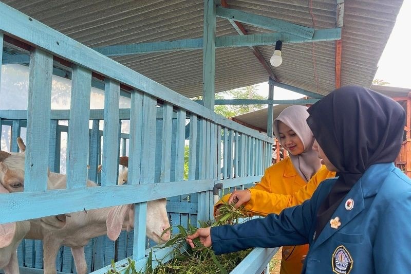 Sukawa Edupark Destinasi Wisata Edukasi Peternakan Kambing Terpadu Di Kabupaten Magelang