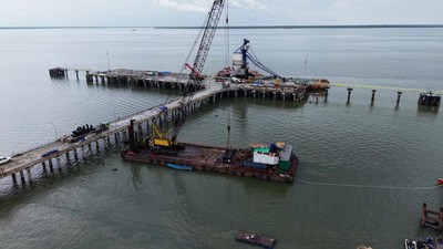 Food Estate Merauke Perkuat Ketahanan Pangan Dan Infrastruktur Nasional