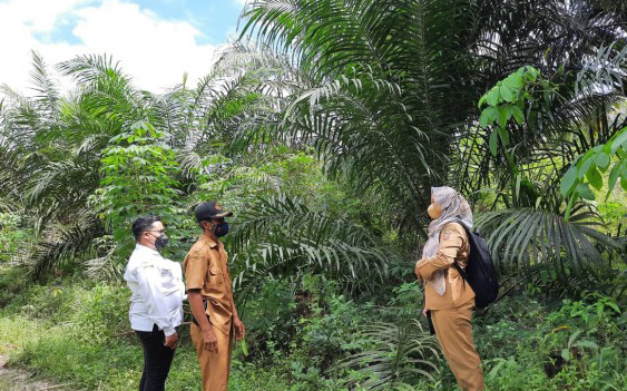 Bapenda Kobar Laksanakan Pemutakhiran Data Pajak Reklame untuk Optimalkan Penerimaan Daerah