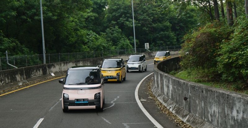 Mengenal Plat Nomor Mobil Listrik: Warna, Jenis, dan Keunggulannya