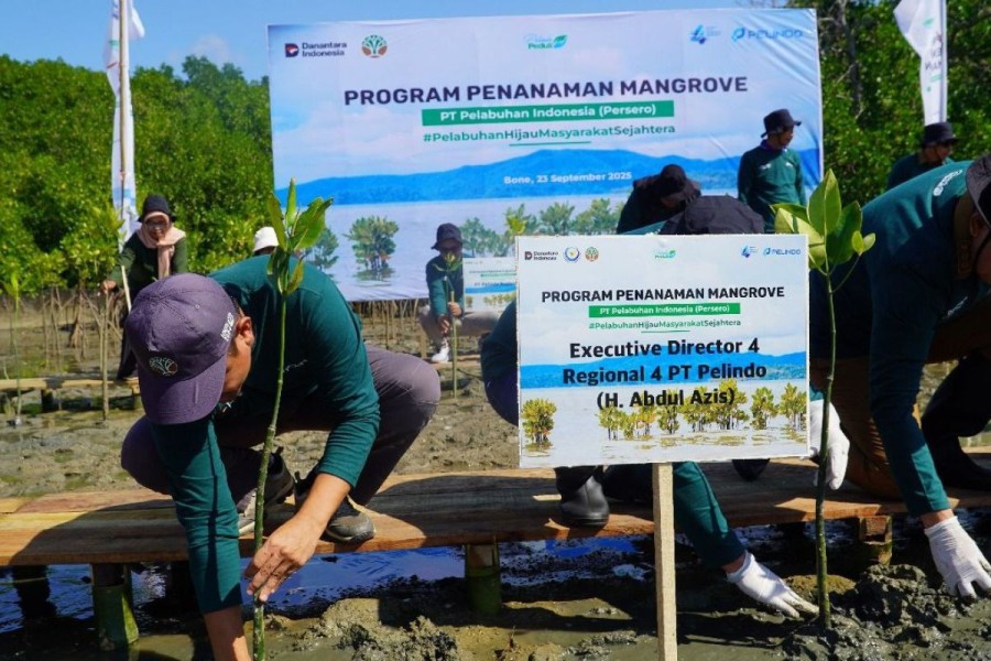 Rehabilitasi Mangrove Bone, Pelindo Regional 4 Wujudkan Pelabuhan Hijau