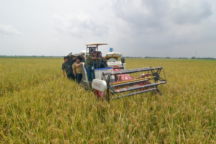 Petani Lamongan Bersyukur: Traktor Baru dan Harga Gabah Naik