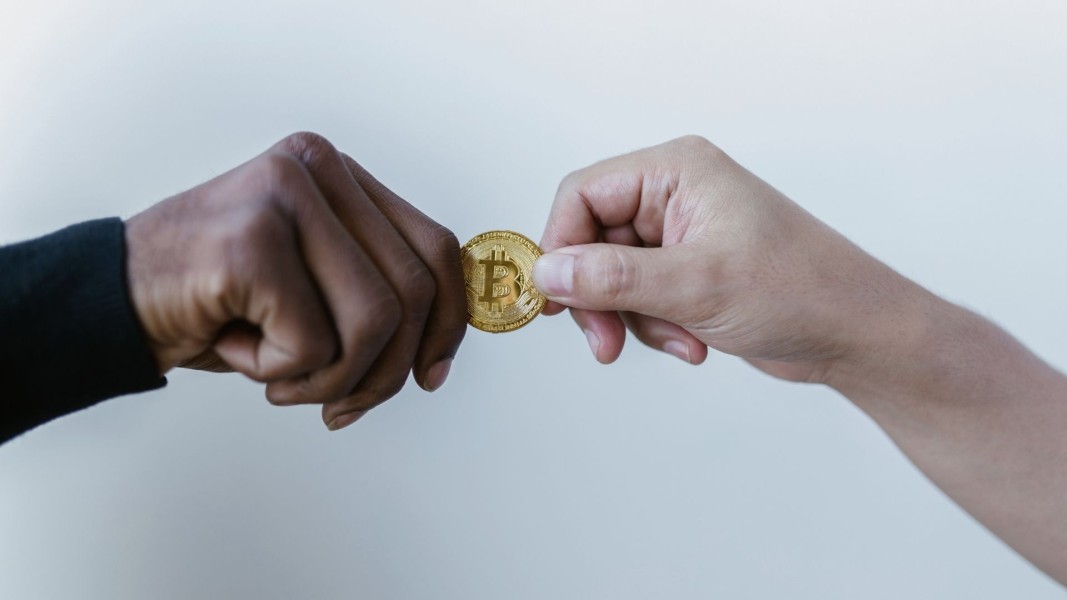 Investasi Crypto Pemula: Panduan Aman Dari Nol