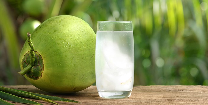 Kelapa Hijau Segar Penjaga Kesehatan Tubuh Alami
