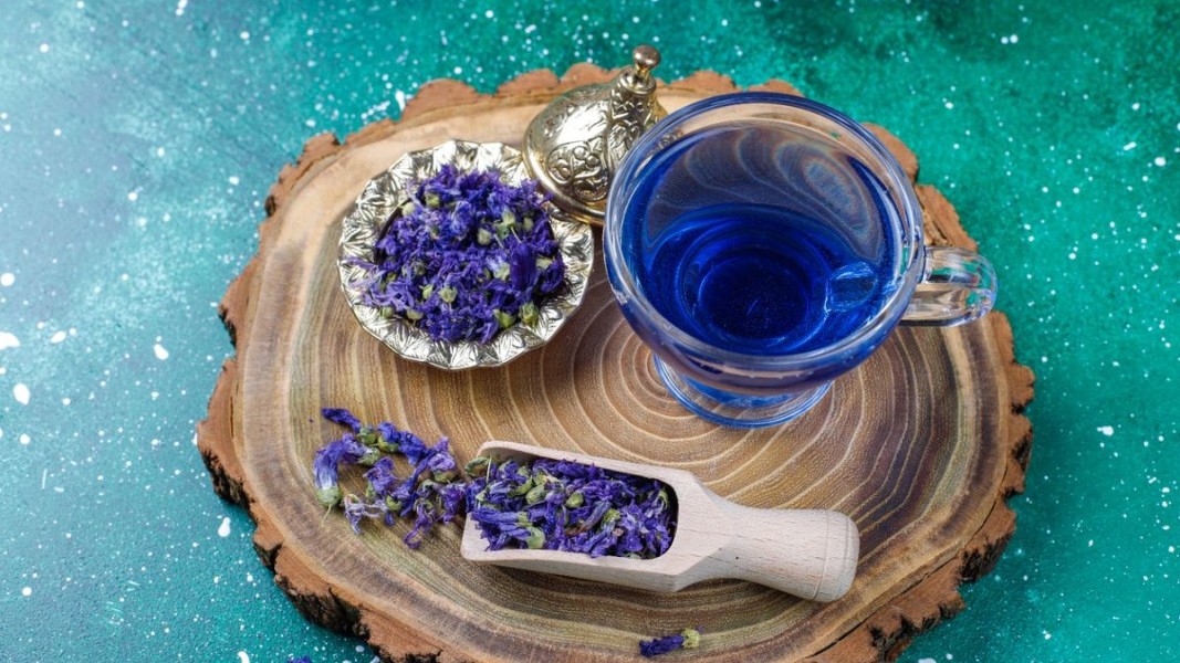 Kapan Waktu Terbaik Untuk Minum Teh Bunga Telang dan Ragam Manfaatnya