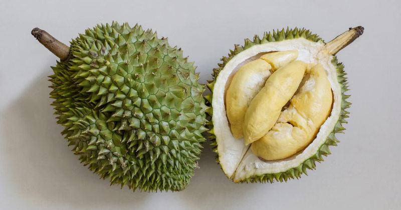 Cara Menyimpan Durian Setengah Matang Agar Tetap Segar dan Rasanya Terjaga