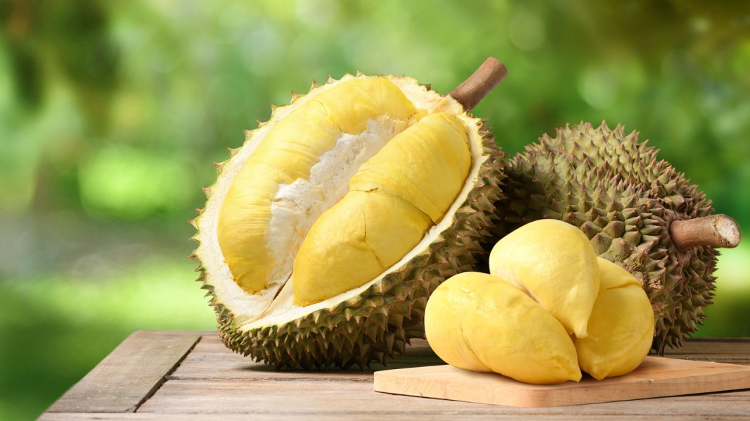 Dampak Konsumsi Durian Berlebihan Bagi Kesehatan Tubuh Manusia