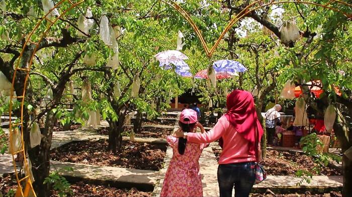 Wisata Petik Belimbing di Seyegan Jadi Daya Tarik Baru Sleman