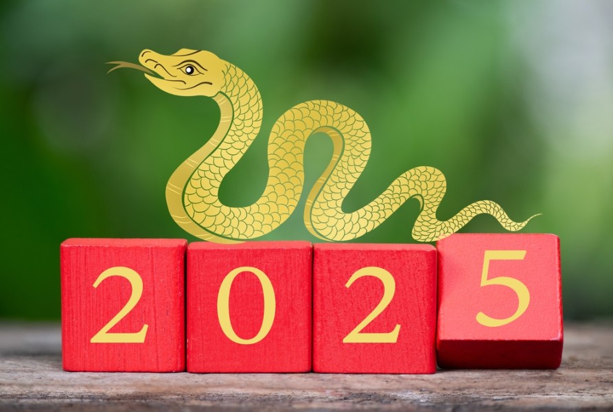 Potensi Kejutan Besar Tahun 2025 Shio-Shio Ini Diprediksi finansial Berlimpah Harta dan Kesuksesan