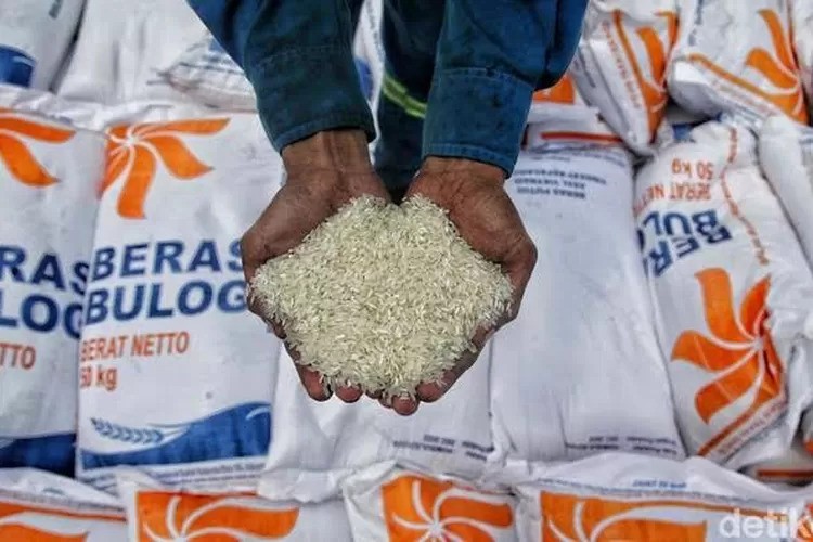 Bulog Pastikan Distribusi 5.000 Ton Beras untuk Korban Bencana Sumut