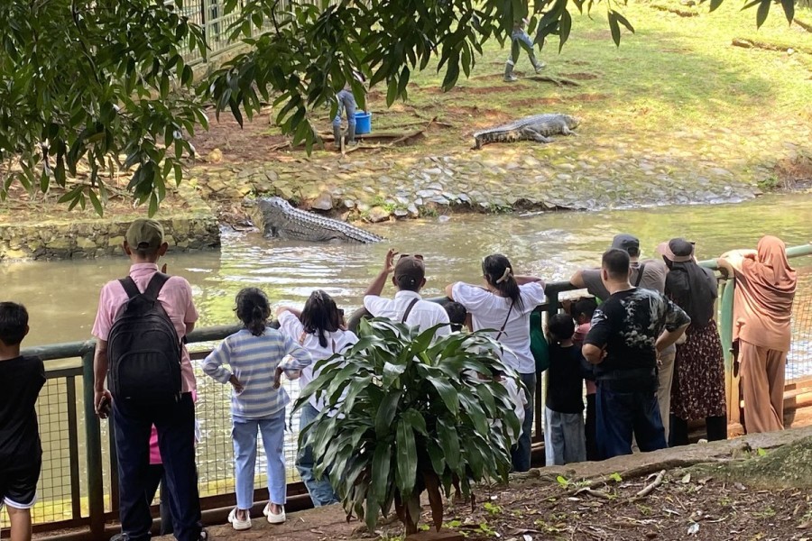 Libur Imlek 2026, Ragunan Dikunjungi 58.025 Wisatawan Selama 4 Hari