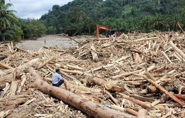 Alarm Ekologis Sumatera Dan Tanggung Jawab Ilmiah Al Quran Menjaga Alam