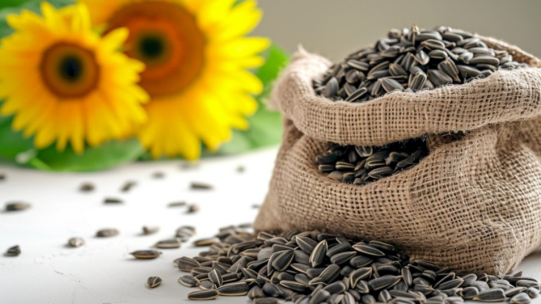 11 Khasiat Konsumsi Biji Bunga Matahari untuk Kesehatan Tubuh Secara Menyeluruh