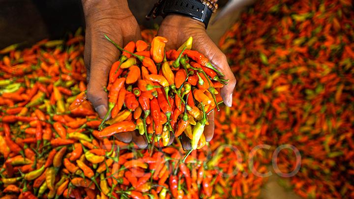 Harga Sembako Terbaru, Cabai Rawit dan Beras Turun