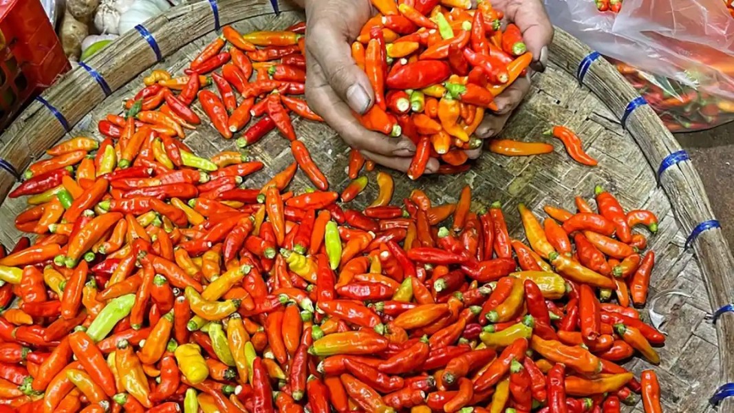 Strategi Bapanas Tekan Harga Cabai Rawit Merah Menjelang Ramadan 1447 H